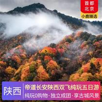 帝道長安陜西雙飛純玩五日游(共赴一場穿越千年的光影之旅，沉浸式唐風市井生活文化街區)